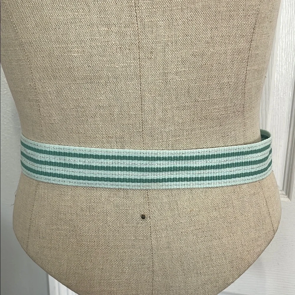 Y2K American Eagle Striped green metallic adjustable Belt Silver D ring Buckle